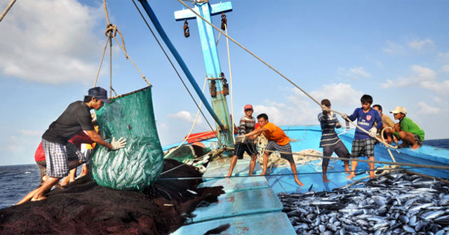 tuyen-thuyen-vien-han-quoc-tau-ca-muc